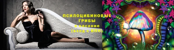 синтетический гашиш Каменка