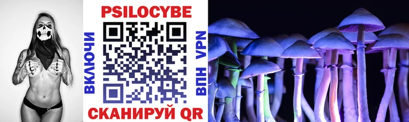Галлюциногенные грибы Psilocybine cubensis  Купить  Вятские Поляны 